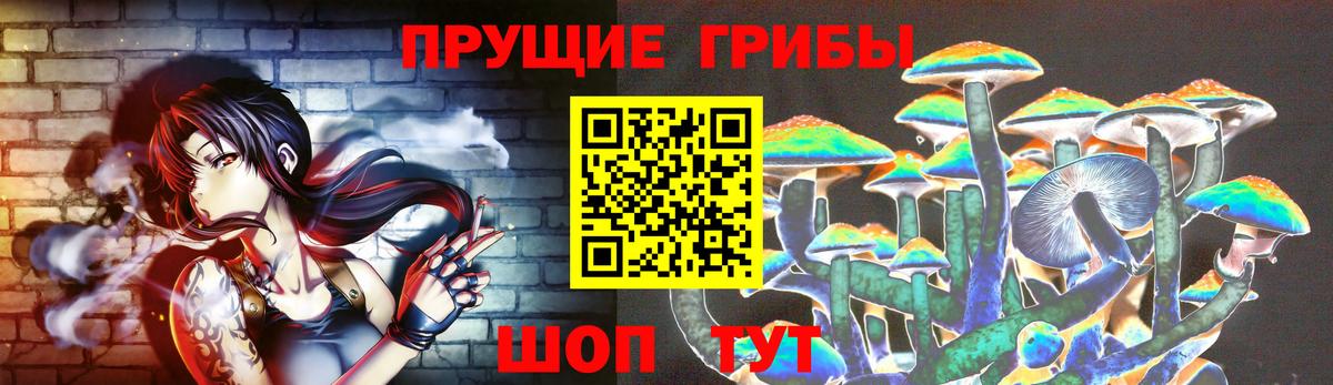 Глазов  Псилоцибиновые грибы мухоморы  где купить наркоту  Вход с VPN  Псилоцибиновые грибы Cubensis 