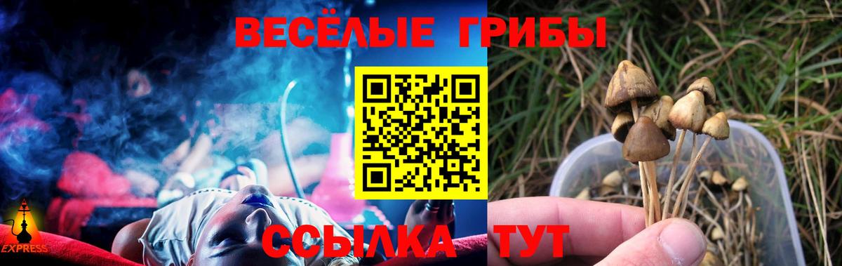 Галлюциногенные грибы MAGIC MUSHROOMS Глазов